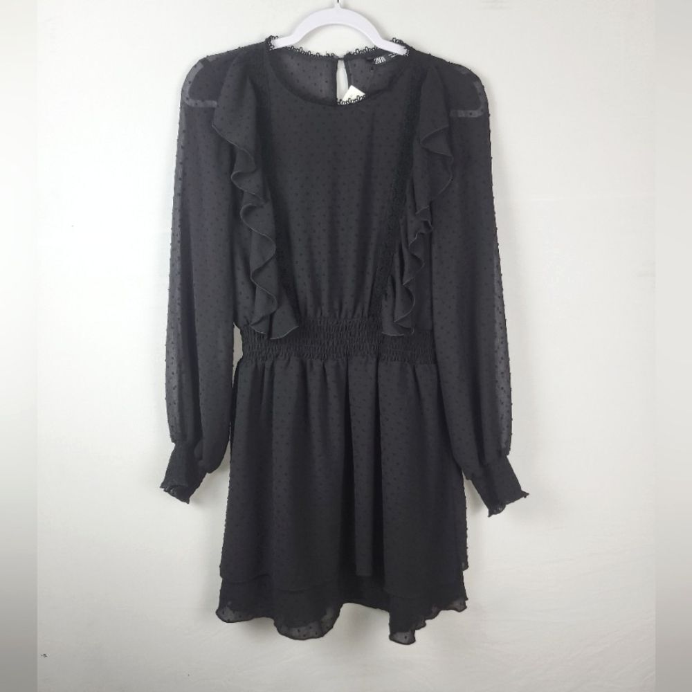 Zara Swiss Polka Dot Long Sleeve Ruffle Mesh Mini Dress Large